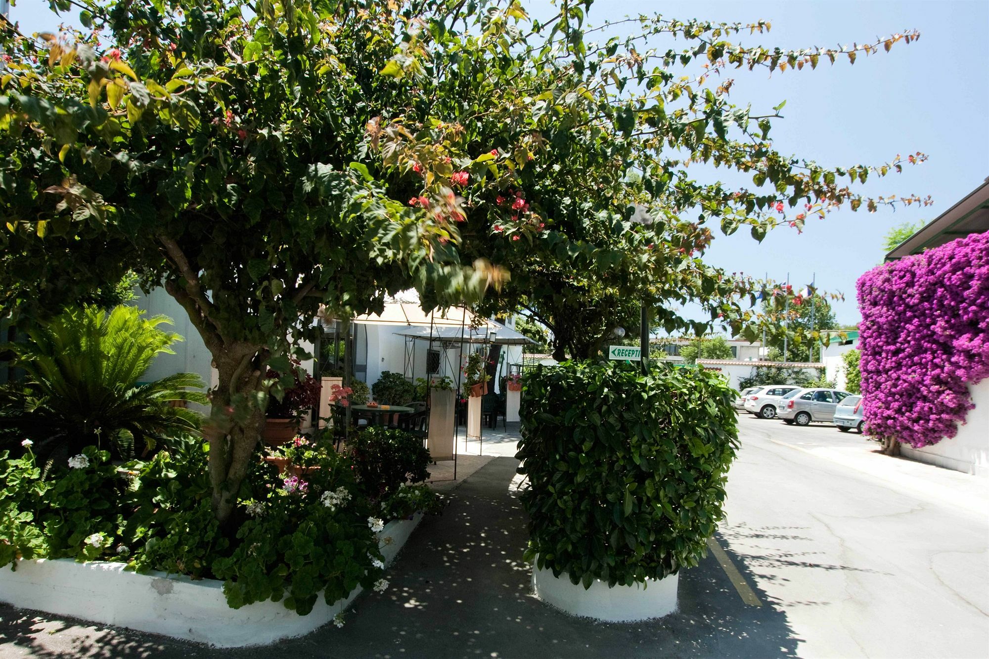 Hotel Residence Nemo Bríndisi Exterior foto